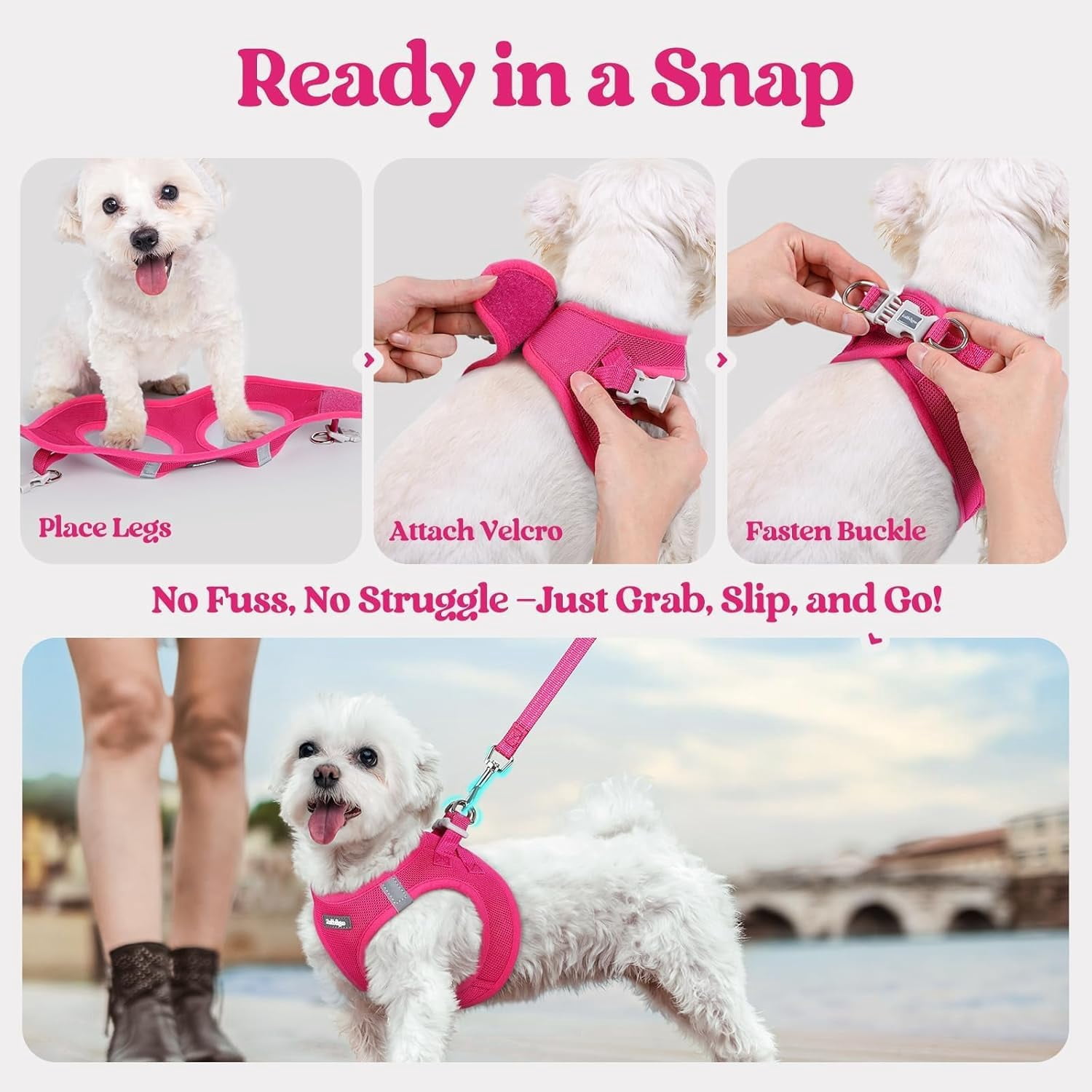 Dog Harness Small Sized and Leash Set, Step in Soft Light Puppy Vest, Breathable Mesh Pet Harness, Reflective for Safe Easy Walking, Rose Red S