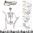 thumbnail image 6 of 7.9 FT Giant Oversized Human Plastic Skeleton Outdoor Decoration Flexible Joints, Standing & Hanging, 6 of 9