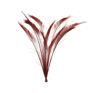 Zucker Feather Products Peacock Swords Bleach Dyed - Red