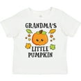 thumbnail image 3 of Inktastic Grandmas Little Pumpkin with Leaves and Stars Boys or Girls Toddler T-Shirt, 3 of 5