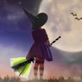thumbnail image 4 of 1 Juego De Decoración De Halloween Bruja Escoba Voladora Fiesta Baile Disfraces Accesorios Vestuario, 4 of 4