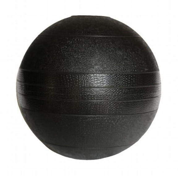 Dead Weight Slam Ball - 20 lbs.