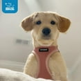 thumbnail image 2 of Voyager Step-In Air Mesh Dog Harness by Best Pet Supplies, 2 of 5