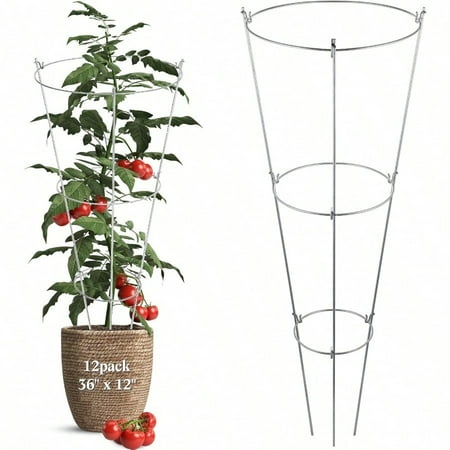 12 Pack Folding Tomato Cages Metal Plant Support Rings Heavy Duty Tomato Plant Support Cage Galvanized Garden Cucumber Trellis Ring For Garden Climbing Plants Flowers Fruits 36 X 12 Inch 12 Pack Folding Tomato Cages Metal Plant Support Rings Heavy Duty Tomato Plant Support Cage Galvanized Garden Cucumber Trellis Ring For Garden Climbing Plants Flowers Fruits 36 X 12 Inch