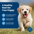 thumbnail image 5 of Blue Buffalo Dog Food Puppy Chicken & Brown Rice 15 Lb, 5 of 7