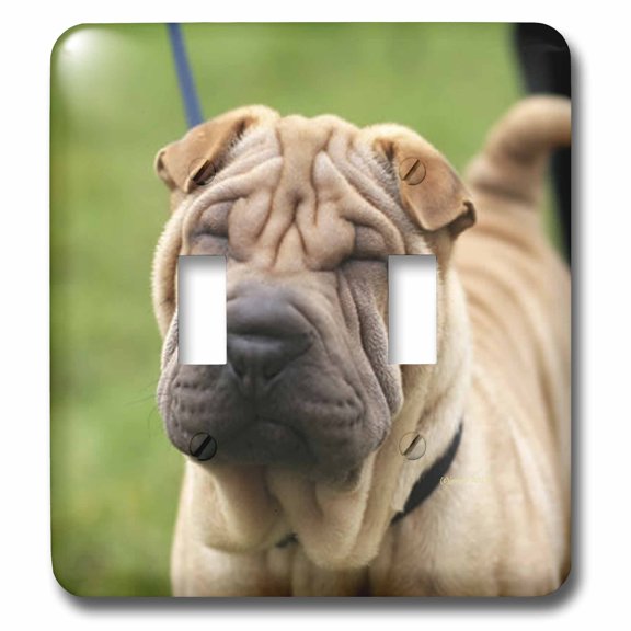 3dRose, Shar pei , double toggle switch