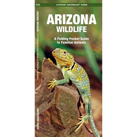Wildlife and Nature Identification: Arizona Wildlife : A Folding Pocket Guide to Familiar Animals (Other)