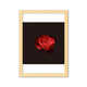 thumbnail image 1 of Cuadro de madera decorativa Unbranded Rosa con espinas A4, 1 of 3