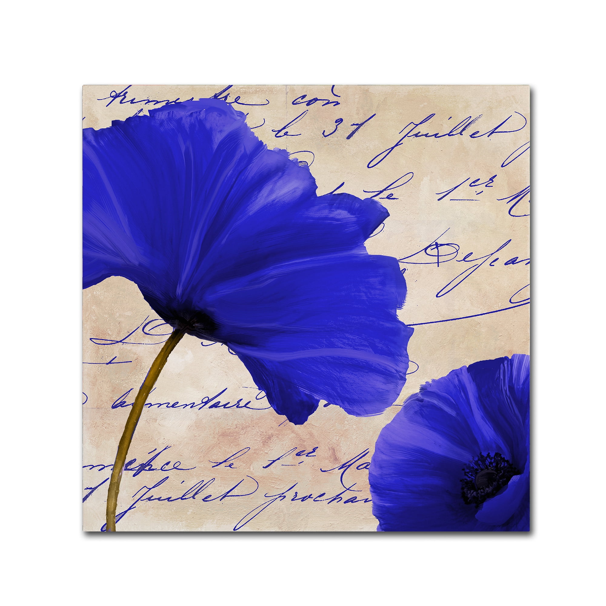 Trademark Fine Art "Coquelicots Bleues II" Canvas Art by Color Bakery