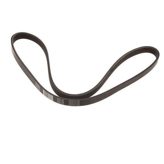 Primary Multi Rib Belt - Compatible with 2007 - 2010 Audi Q7 4.2L V8 2008 2009