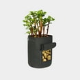 thumbnail image 5 of 7 Gallon Non-Woven Fabric Plant Grow Bag – 13.78in Reinforced Potato Planter with View Window & Handles (Black, 0.32lb), 5 of 7