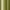 Kiwi / Sand, variant on Exclusive Home Canopy Stripe Indoor/Outdoor Grommet Top Curtain Panel Pair, 54"x96", Teal / White