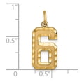thumbnail image 4 of 14k Yellow Gold Diamond Cut Texture Finish Large Size Number 6 Charm Pendant, 4 of 4
