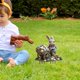 thumbnail image 4 of Estaca de jardín, adorno de Pascua, diseño de conejo, letrero festivo de césped con un toque vintage para patios, céspedes, jardines y decoración de primavera de Pascua, 4 of 5