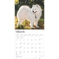 thumbnail image 3 of Samoyeds | 2025 12x24" (Hanging) Square Wall Calendar | Plastic-Free | BrownTrout, 3 of 9