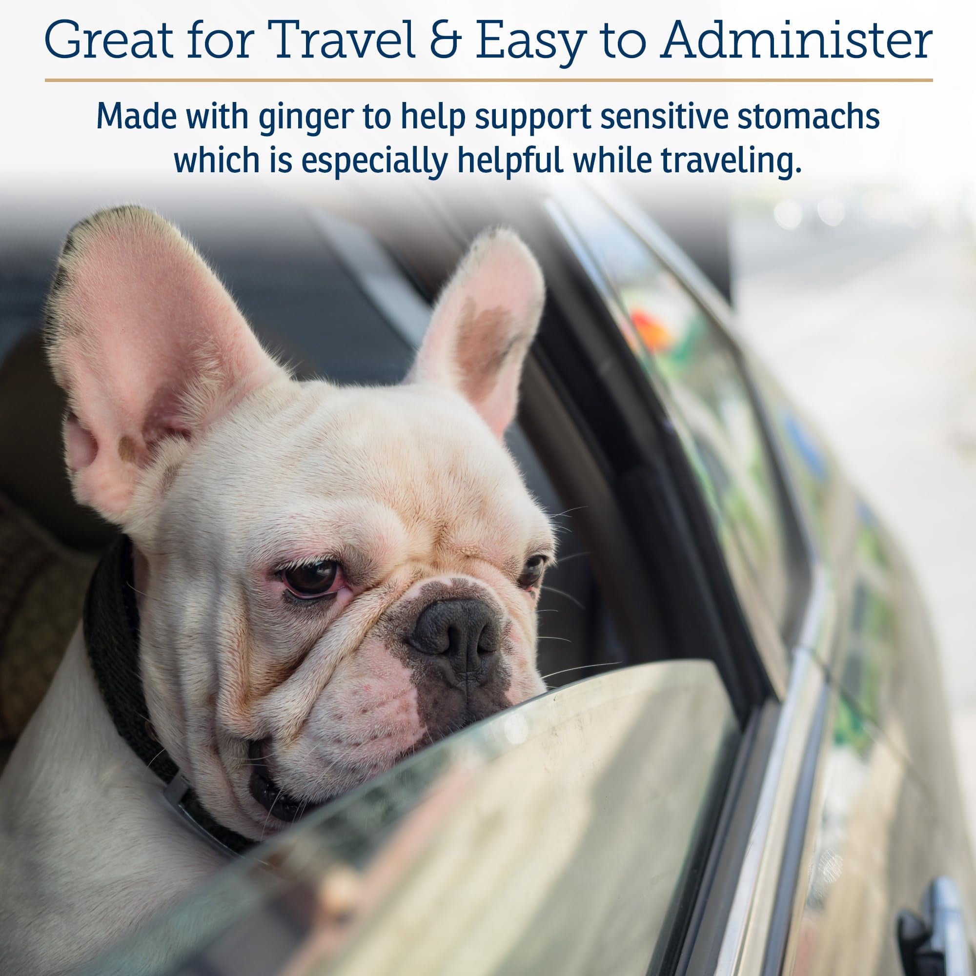 Rx Vitamins NutriCalm - Calming Care for Dogs with Valerian Root, Tryptophan, & Ashwagandha - Aids in Separation Anxiety Relief for Dogs and Stress Relief - Dog Road Trip Essentials & Relaxant - 50ct