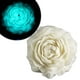 thumbnail image 1 of Velas Románticas de Cera de Soja para Juegos, Velas de Goteo a Baja Temperatura, Efecto de Ambiente Oscuro, Vela de Masaje para Parejas, Ingredientes Seguros para El Cuerpo, Punto de Fusión de 40 °C,, 1 of 5