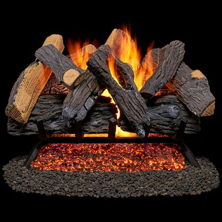 Duluth Forge Vented Natural Gas Fireplace Log Set (Best Vented Gas Logs)
