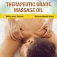 thumbnail image 2 of Aceite de masaje Seven Minerals Arnica Sore Muscle 500 ml, 2 of 6
