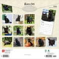 thumbnail image 2 of Black Cats | 2026 12x24" (Hanging) Square Wall Calendar | Plastic-Free, 2 of 9