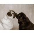 thumbnail image 3 of Dratfield, Jim 24x19 Black Modern Framed Museum Art Print Titled - Pooch Smooch, 3 of 5