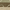 Green, variant on Nourison Contour Striped Green 7'3" x 9'3" Area Rug, (7x9)