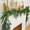 6ft-1pc, variant on 50% Off Masertor 6ft Christmas Garlands Norfolk Pine Garland Greenery Pine Garland for Indoor Holiday Decor