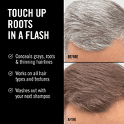 Everpro Gray Away Mens Instant Root Touch-up, Medium Brown, 2.5 oz
