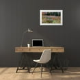 thumbnail image 3 of Gulin, Sylvia 18x13 White Modern Wood Framed Museum Art Print Titled - USA-New Hampshire-New England field off of highway 302 with Autumn daisies and hillside backdrop wi, 3 of 4