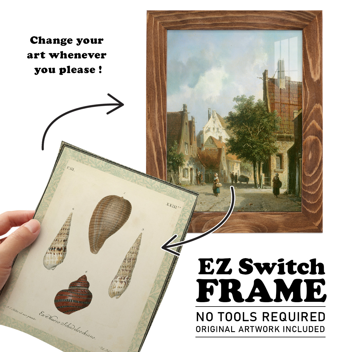 Bookplate Shells V - Framed Print w/glass - Walnut