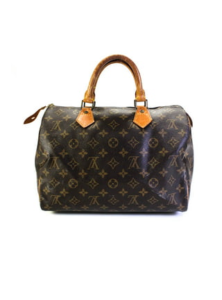 Bag Organizer for Louis Vuitton Speedy 35 (Organizer Type C) - Seafoam Green