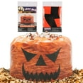 thumbnail image 3 of ITFABS Halloween Pumpkin Print Decorative Plastic Bag Outdoor Ornament, 3 of 5