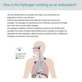 thumbnail image 4 of Hydrogen Rich Water Machine, Hydrogen Water Pitcher SPE Electrolysis Technology 400ml Ergonomic Grip  for Office, 4 of 7
