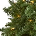 thumbnail image 3 of 3ft. South Carolina Spruce Artificial Christmas Tree with 100 White Warm Light and 458 Bendable Branches, 3 of 7
