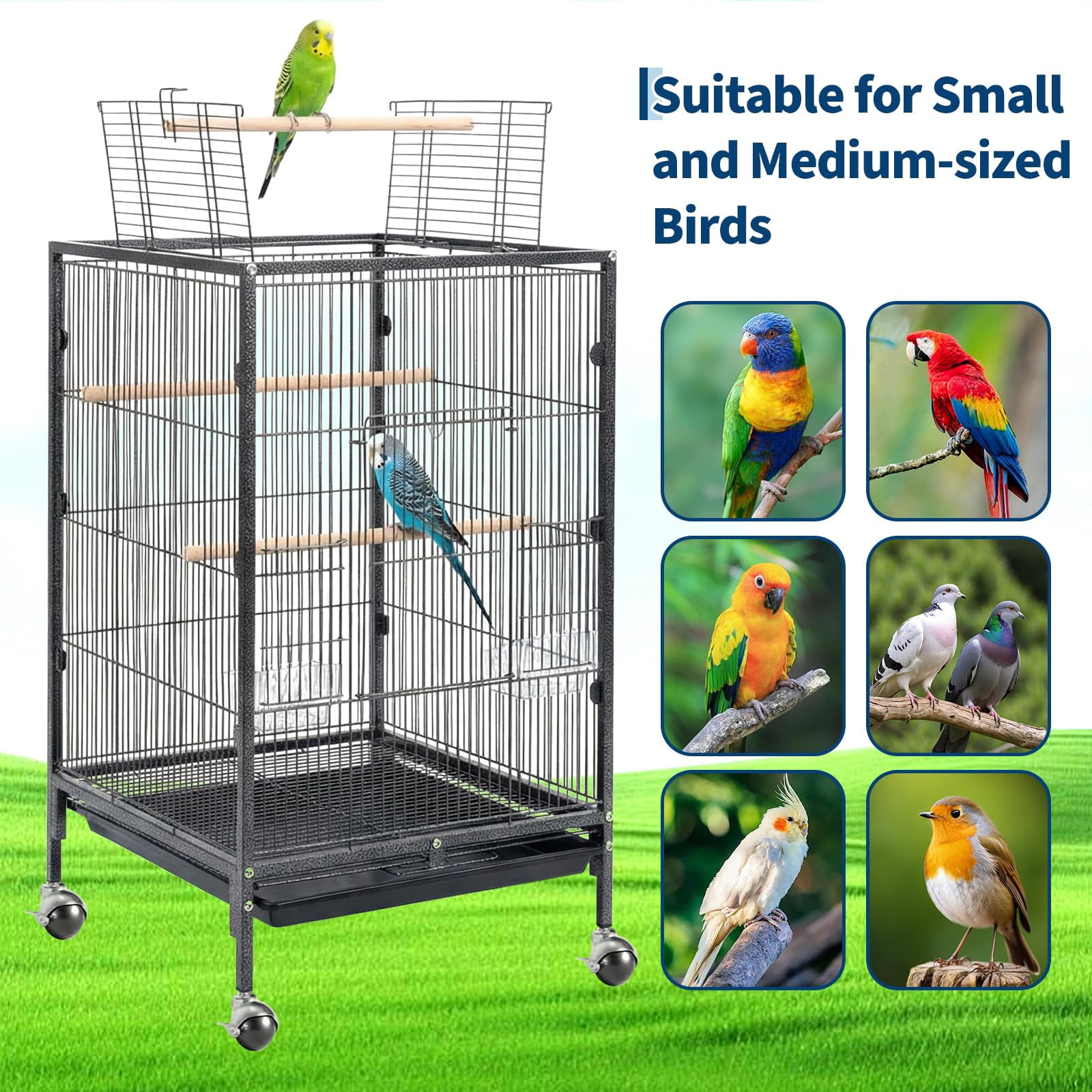Heavy Duty Metal Bird Cage with Play Open Top – 38'' Tall Flight Cage for Parakeets, Cockatiels, Canaries, Lovebirds, Conures, Budgies, Small Parrots – Easy Assembly & Cleaning – With Rolling Stand