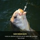 thumbnail image 3 of 2 Cebos De Pesca, Cebos De Pesca Duros De Material Ecológico, Resistentes Y Duraderos, Fáciles De Llevar, Juego De Señuelos De Pesca Para Pesca En Río, Pesca En Barco En El ANGGREK Otros Deportes y Recreación, 3 of 7