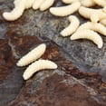 thumbnail image 4 of 200Pcs Soft Plastic Fishing Lures Baits Maggots Worms Tackle light yellow, 4 of 6