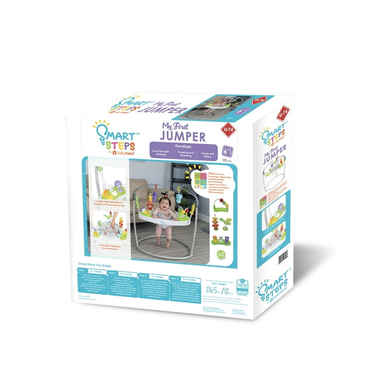 家庭保育園のYour Smart Baby's First Program未使用 賢い赤ちゃんのファーストプログラム 家庭保育園