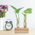 thumbnail image 3 of Glass Test Tube Flower Pot Hydroponic Plant Vase Terrarium Container Home Decor with Rack, 3 of 11