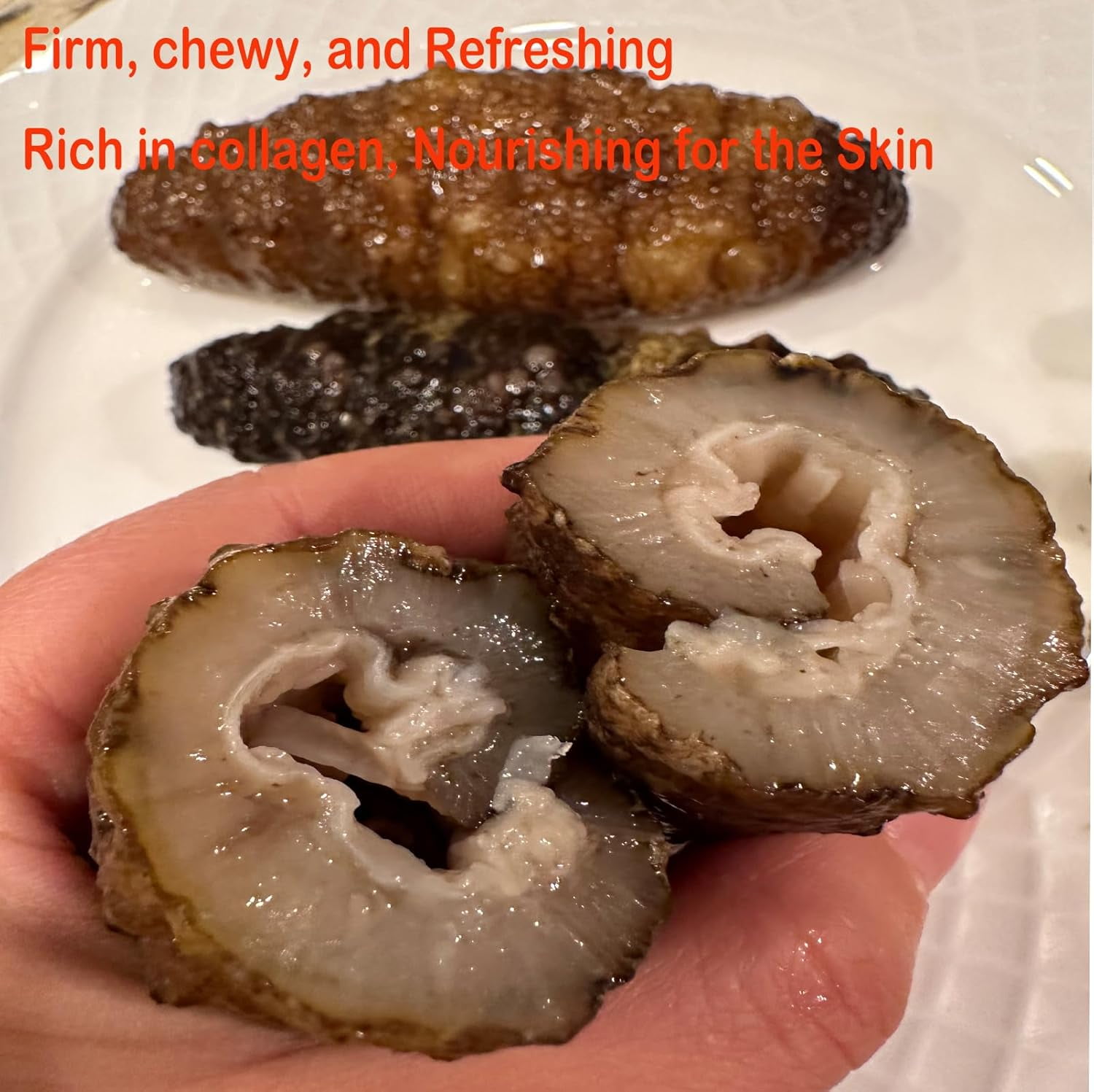 1LB South American Wild Sea Cucumber - 30-50pcs 100% Natural Sun Dried Sea Cucumber Grade AAAA Nutritious Rich In Protein, Vitamins and Minerals Medium Gift Box 1 Pound