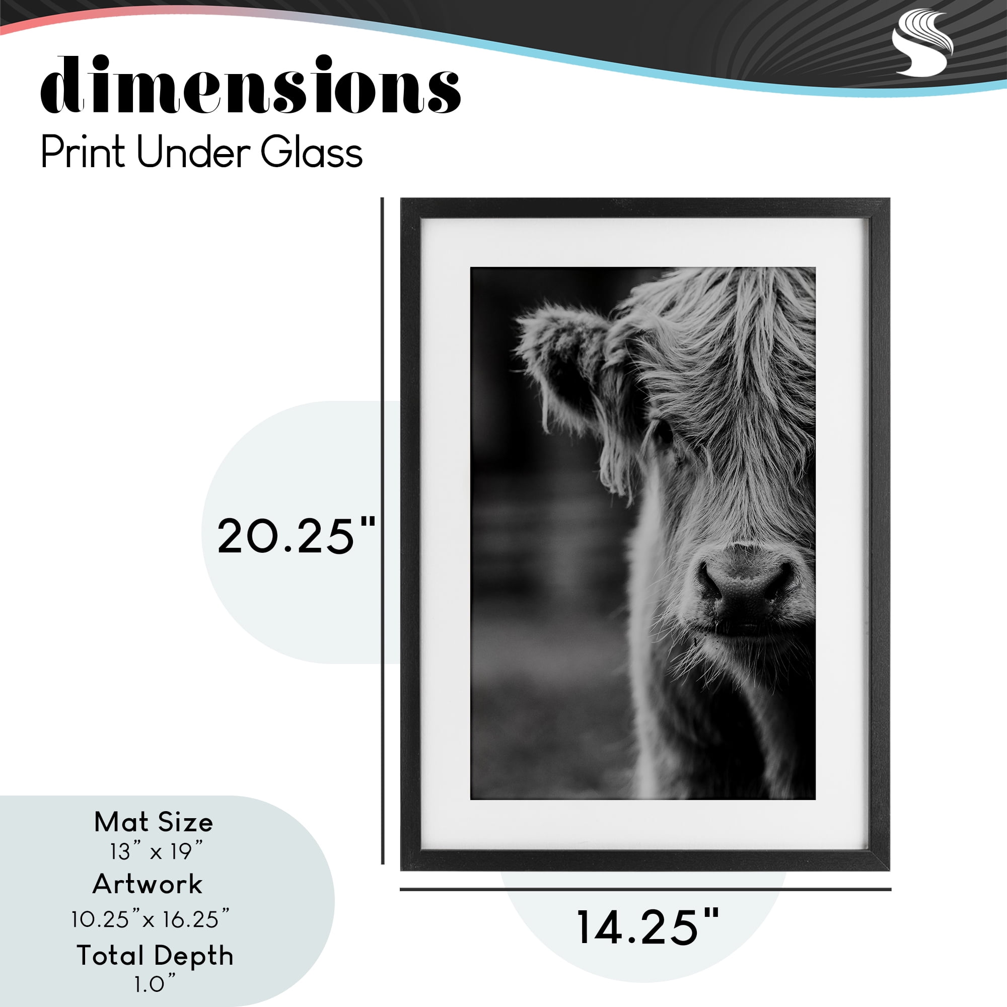 Baby Cow Face Black Framed Print Under Glass, design by Amy Carroll