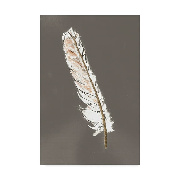 Trademark Fine Art 'Gold Feathers II on Grey' Canvas Art by Chris Paschke
