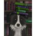 thumbnail image 2 of Fab Funky 12x14 Black Ornate Wood Framed with Double Matting Museum Art Print Titled - Border Collie, Black and White, and Books, 2 of 4