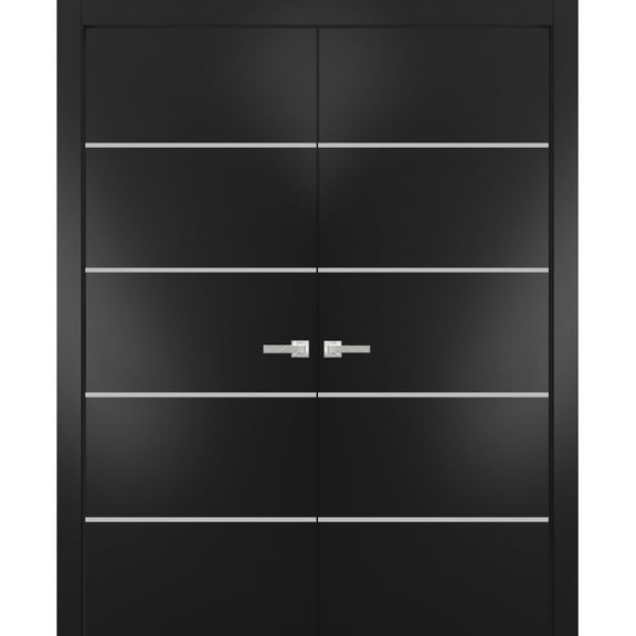 Solid French Double Doors 36 x 80 inches | Planum 0210 Matte Black with Frosted Glass | Wood Solid Panel Frame Trims | Closet Bedroom Sturdy Doors