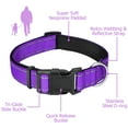 thumbnail image 4 of zalens Reflective Dog Collar, Adjustable Soft Neoprene Padded Breathable Nylon, Purple, XL, 4 of 6