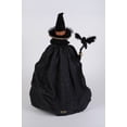 thumbnail image 2 of Karen Didion Lighted Witch, Matilda (HA18-28), 2 of 2