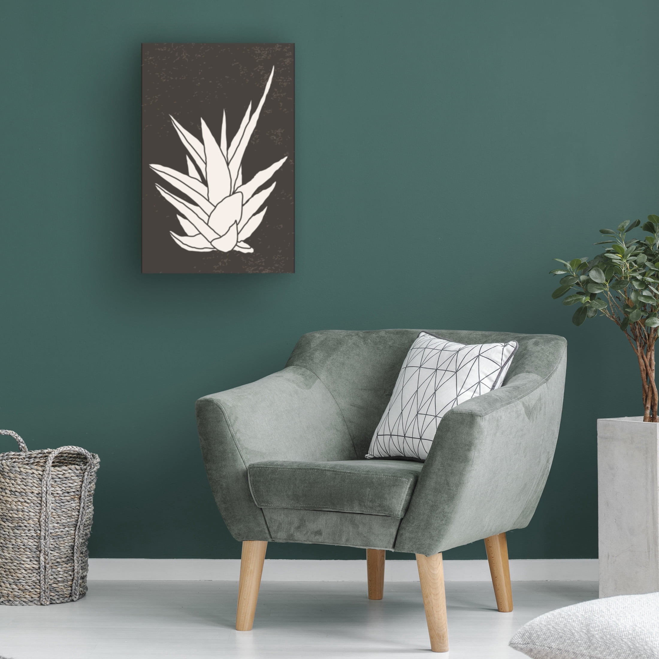 Trademark Fine Art jay stanley  Agave 1 Canvas Wall Art