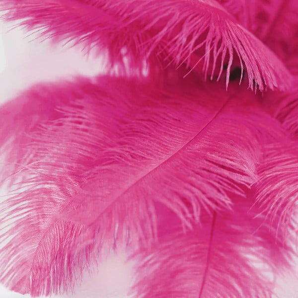12 pcs 13-15" long Dusty Rose Genuine Ostrich FEATHERS Wedding Centerpieces 