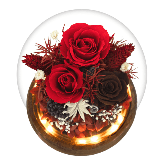 MixMart Preserved Flowers Rose in Glass Dome w/Light - Long Lasting Flowers, Flower Gifts for Women for Any Occasion - Home Decor, Comes w/Thick Gift Box - Forever Glass Rose Flowers - Pink