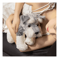 thumbnail image 5 of Peluche Perrito Schnauzer Malubero, Gris Blanco, 5 of 5